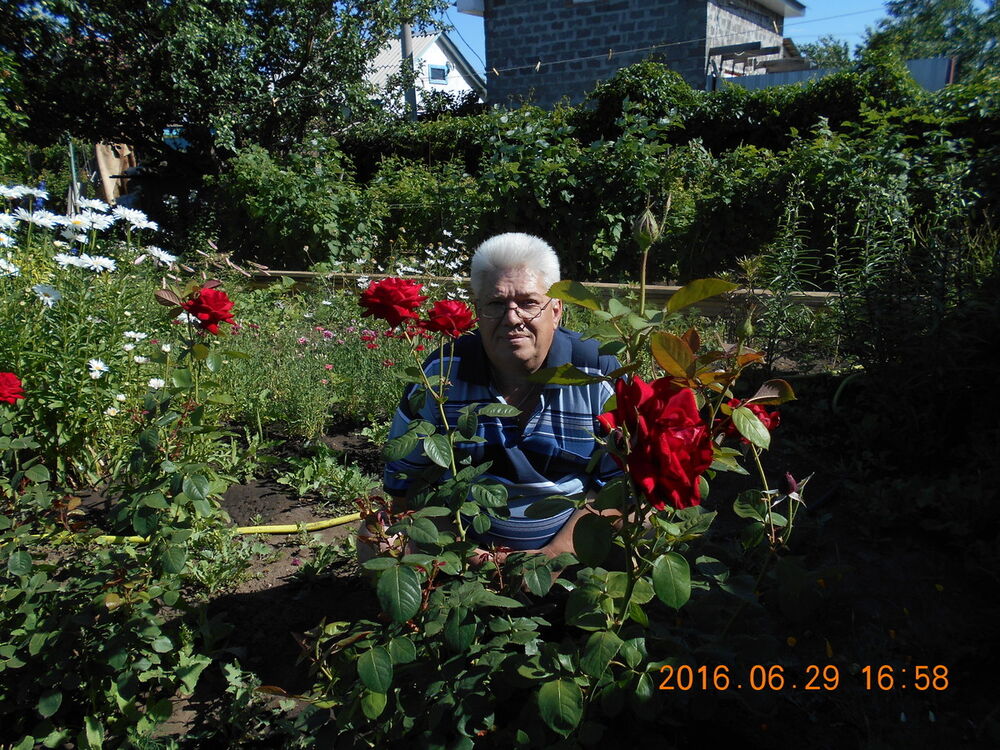  ,   , 65 ,   ,   , c , 