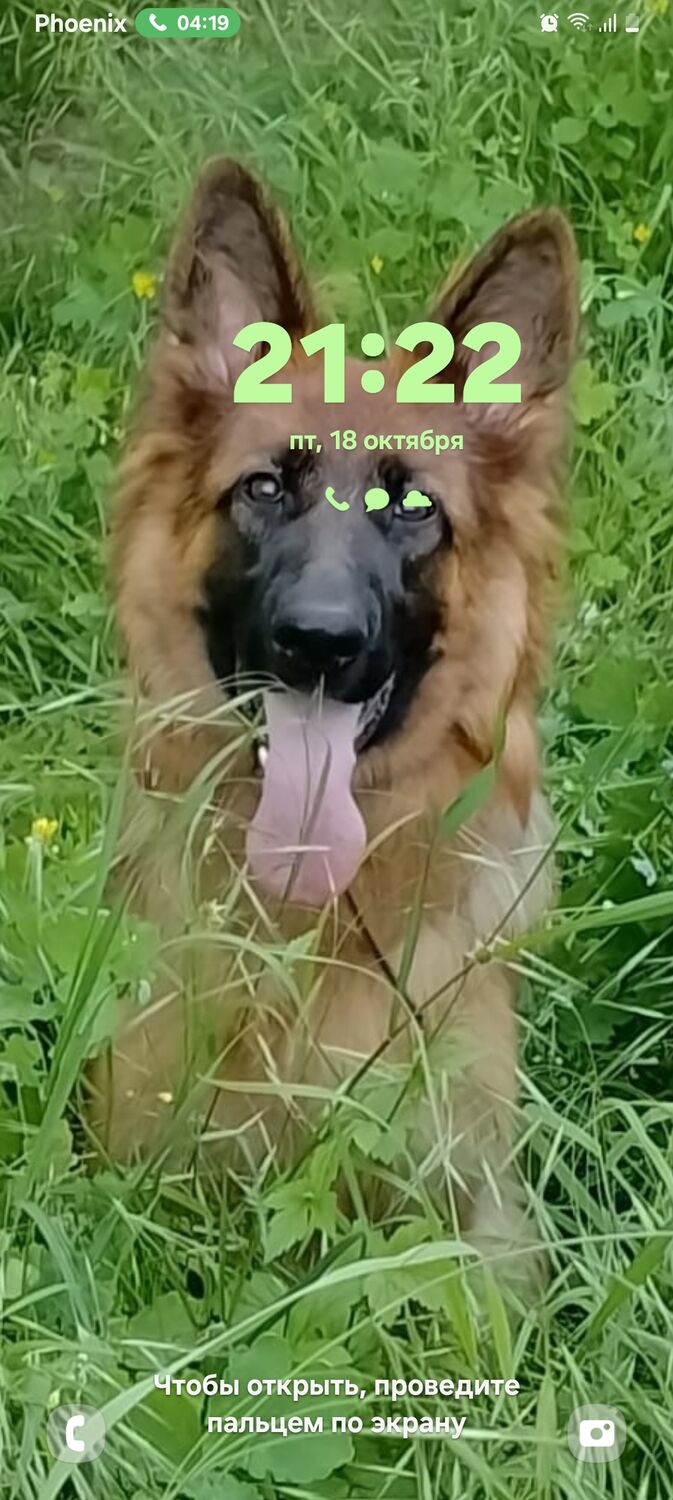  ,   , 53 ,     , c 