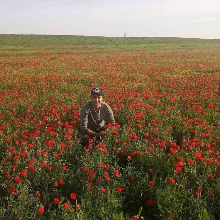 ���������� ������, ���� ������� ����, 35 ���, ������������ ��� c�������� ���������