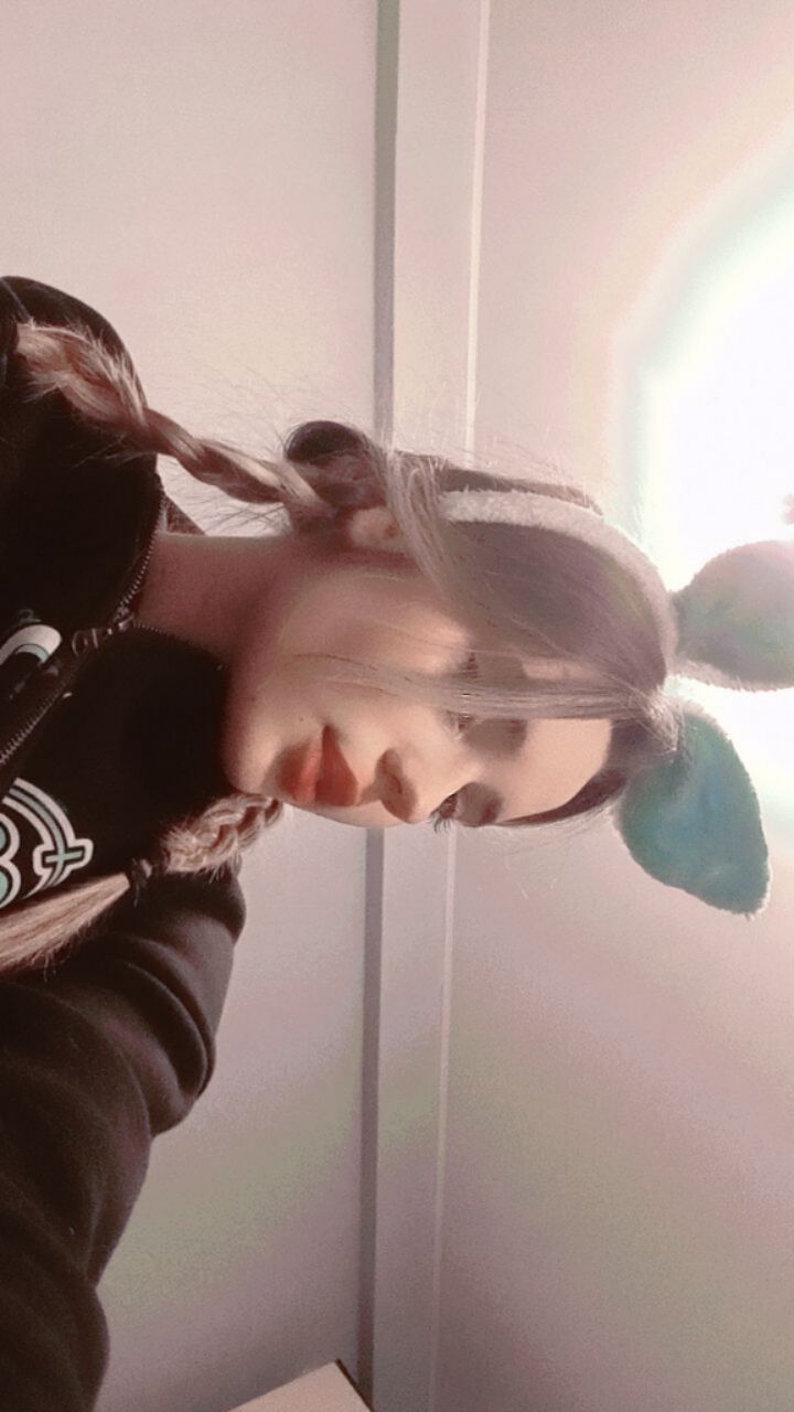  44082913  , 20 ,    