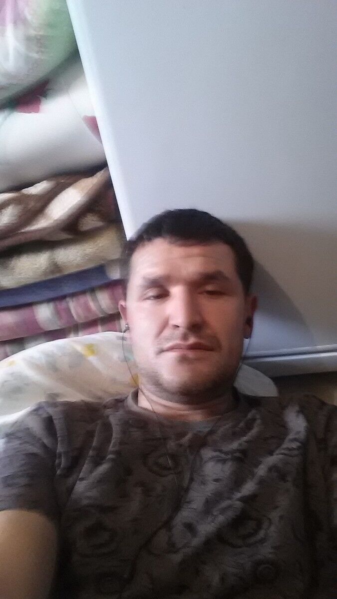  17800533  , 40 ,    