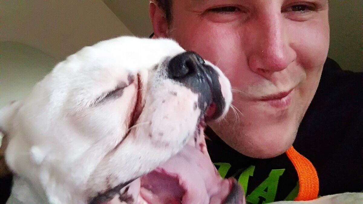 ���������� ����, ���� ������� Greed, 32 ����, ������������ ��� ������, ����� � ���������, c�������� ���������, ���������