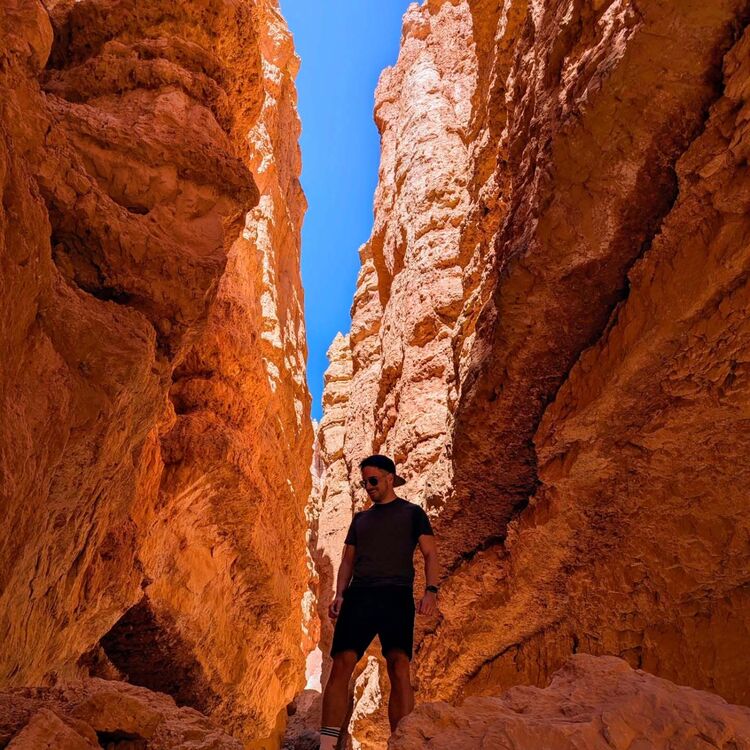 ���� 55018803 ������� ����, 30 ���, ���� ���������� � ����-����������