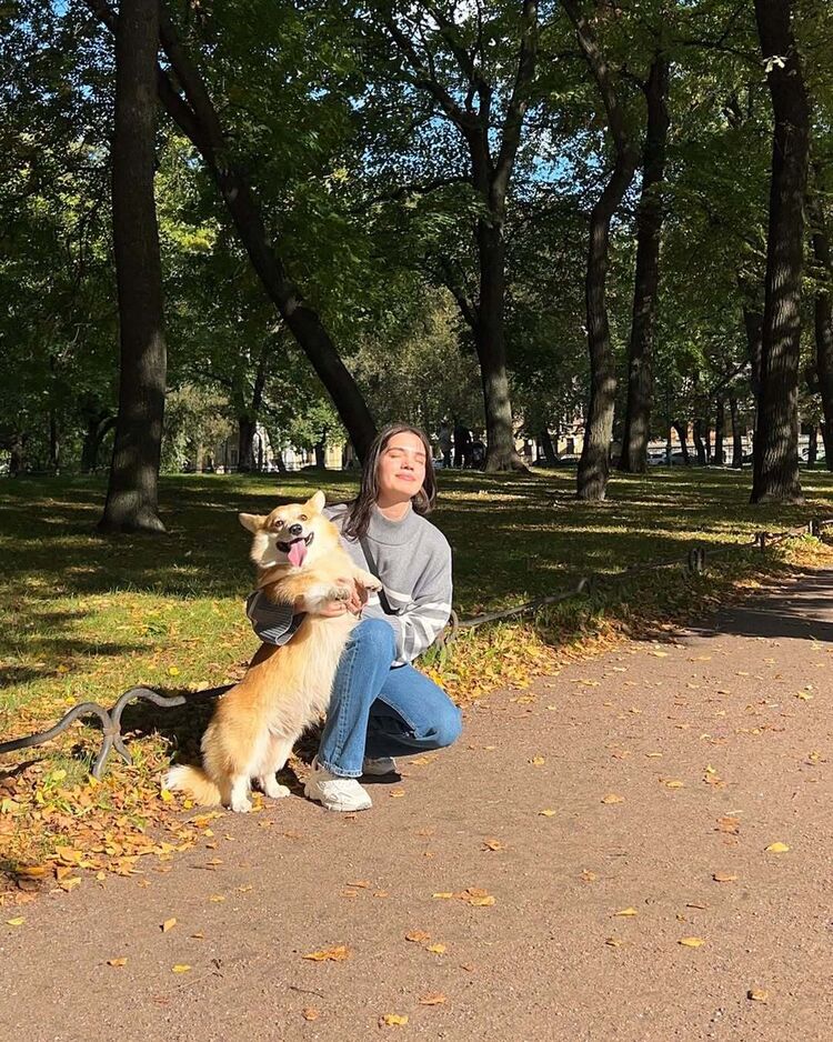 ���������� ������, ���� ������� ����������, 33 ����, ������������ ��� ������, ����� � ���������