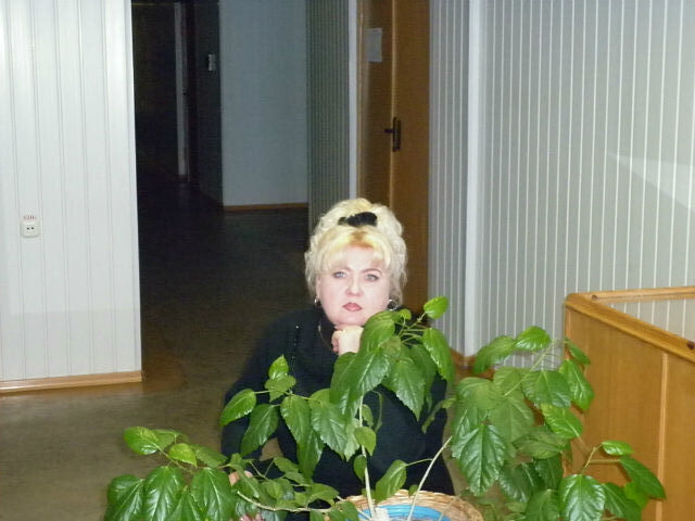 ���� 54924583 ������� ������, 54 ����, ���� ���������� � ���������