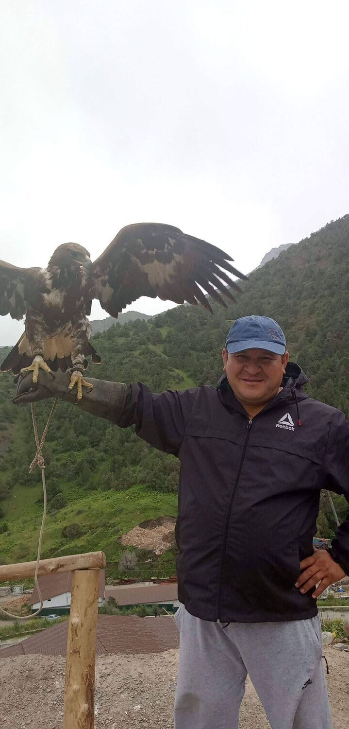 ���� 43791813 ������� ����, 42 ����, ���� ���������� � ������