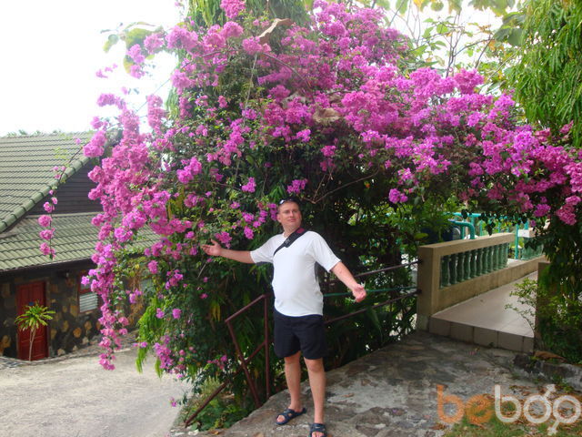 ���������� ������, ���� ������� KV2409, 48 ���, ������������ ��� ������, ����� � ���������, c�������� ���������