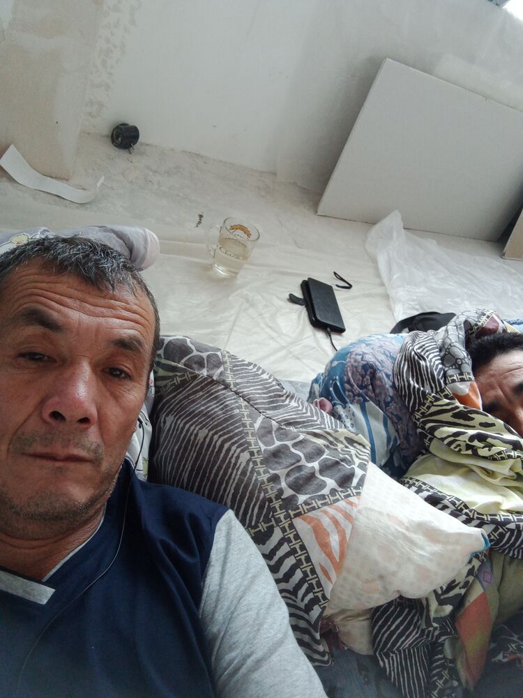 ���� 23653603 ������� �����, 53 ����, ���� ���������� � ������