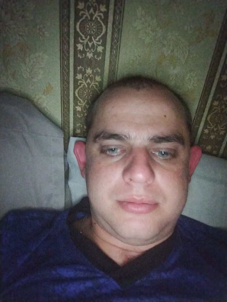  43485663  , 31 ,    