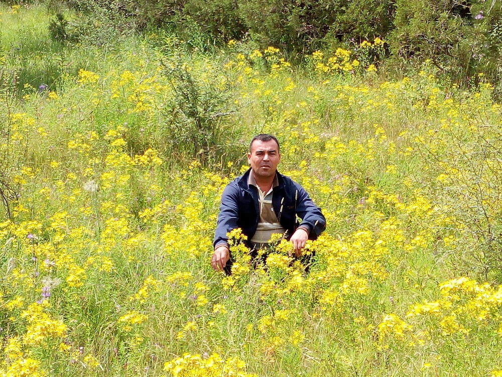 ���������� ������, ���� ������� ��������, 41 ���, ������������ ��� ����� � ���������, c�������� ���������, ���������