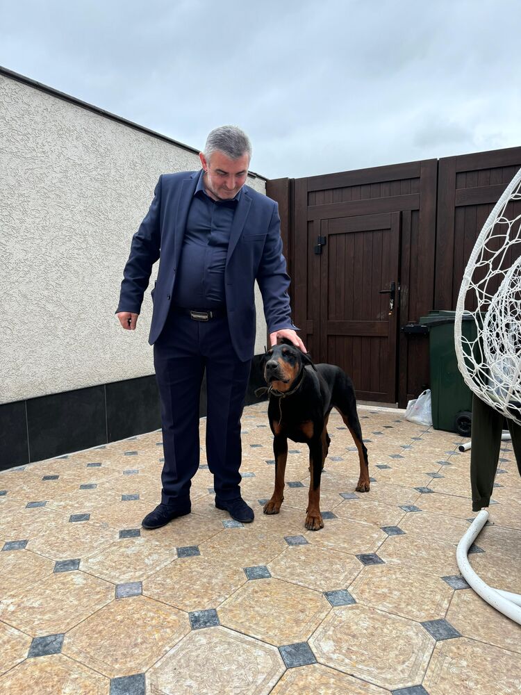 ���������� ����, ���� ������� �����, 52 ����, ������������ ��� ������, ����� � ���������