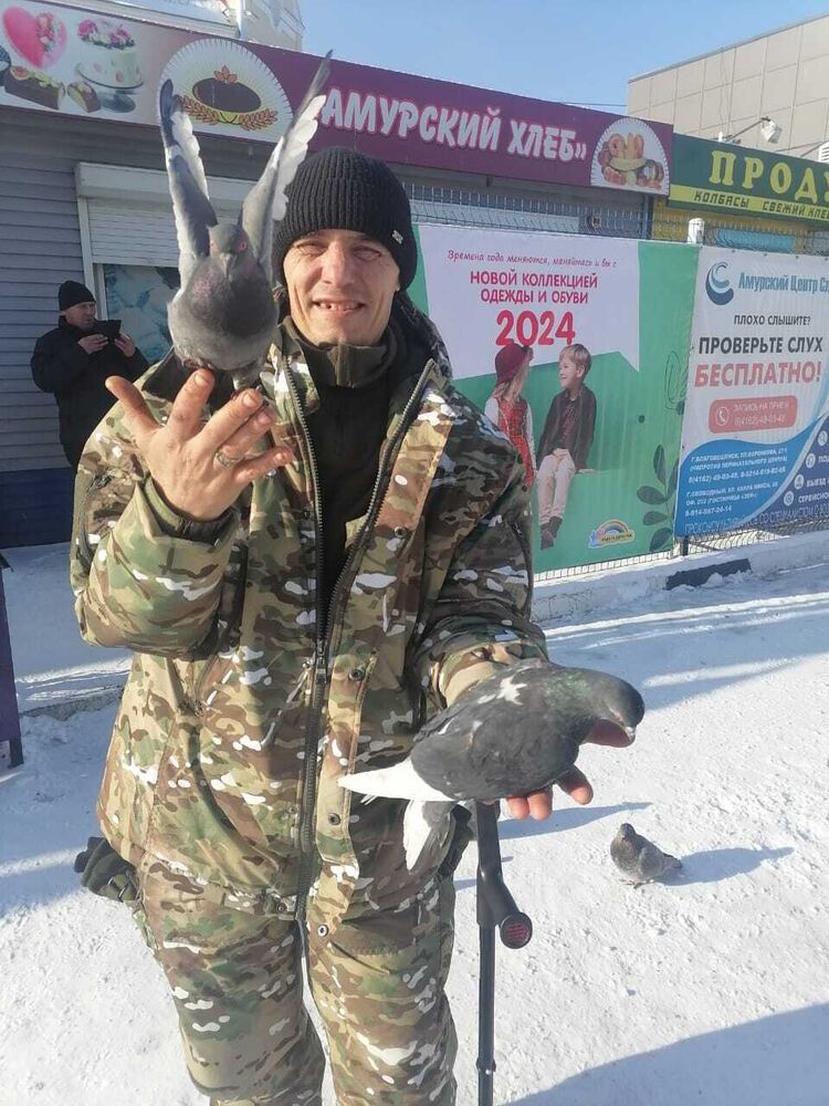 ���� 41053053 ������� �����, 42 ����, ���� ���������� � ������������