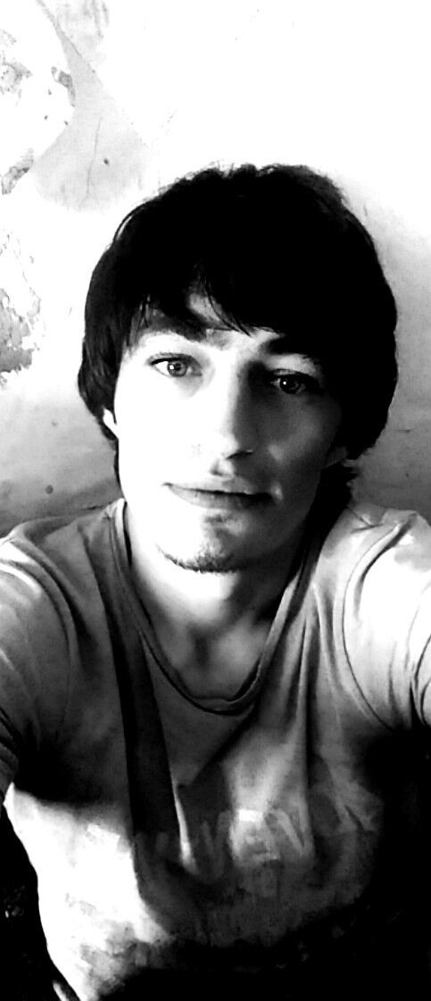 ���� 16512443 ������� ������, 33 ����, ���� ���������� � ����������