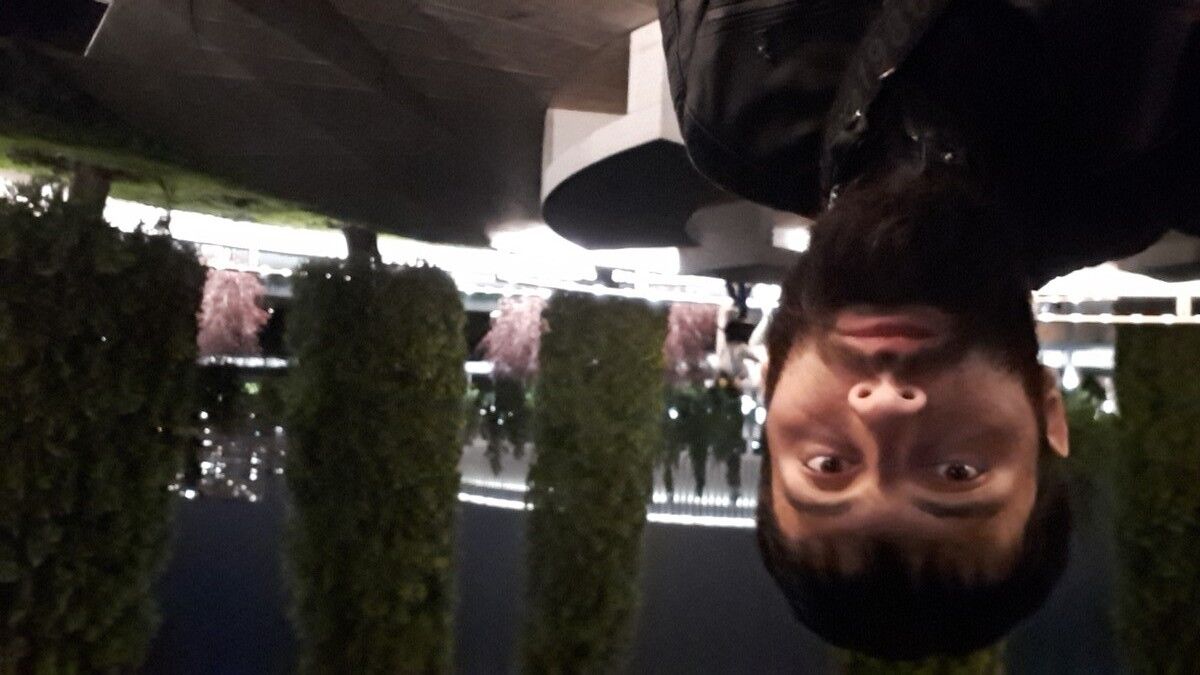 ���� 17441523 ������� �����, 32 ����, ���� ���������� � �������