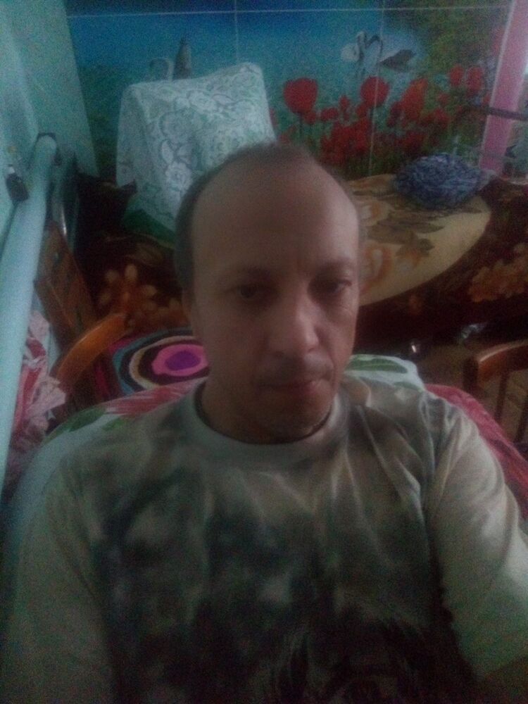  14453223  , 50 ,    