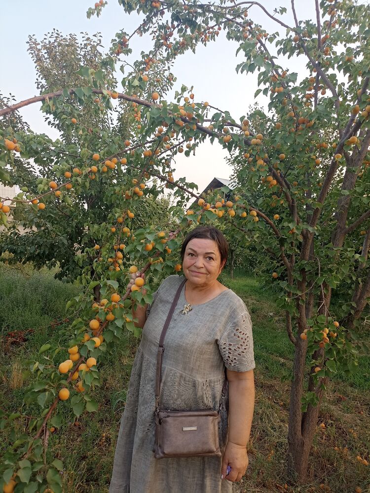 ���� 55249633 ������� ������, 69 ���, ���� ���������� � ������������