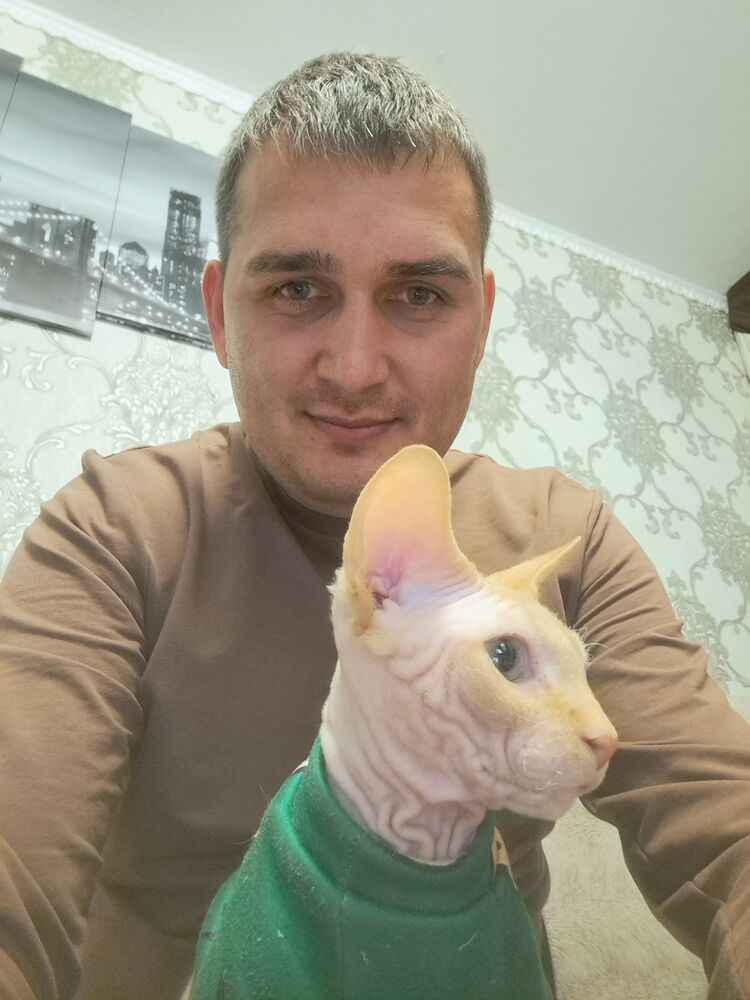 ���� 38181153 ������� ���������, 31 ���, ���� ���������� � ��������