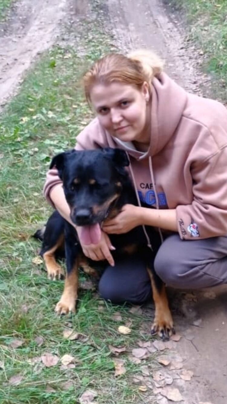   ,   , 29 ,   ,   , c , 