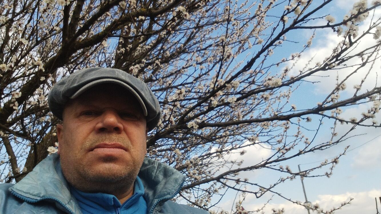 ���� 55710563 ������� Anzhi, 56 ���, ���� ���������� � ����������