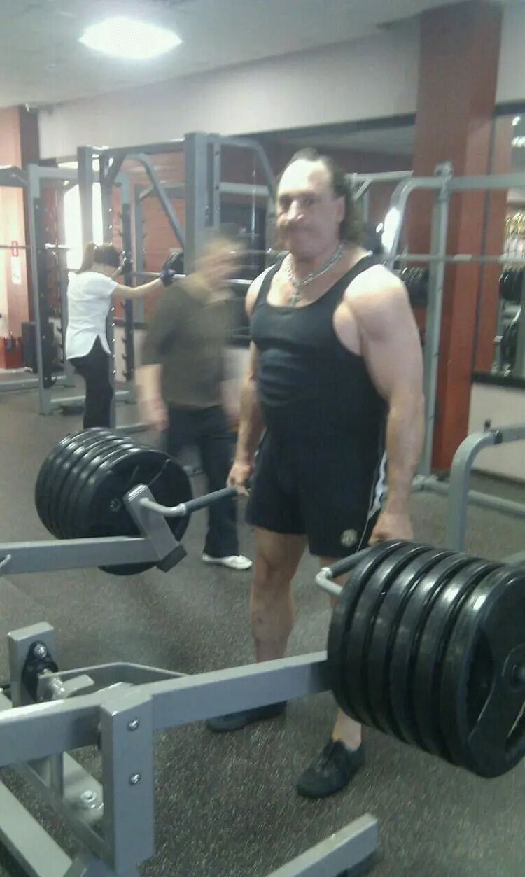  39980993  , 51 ,    