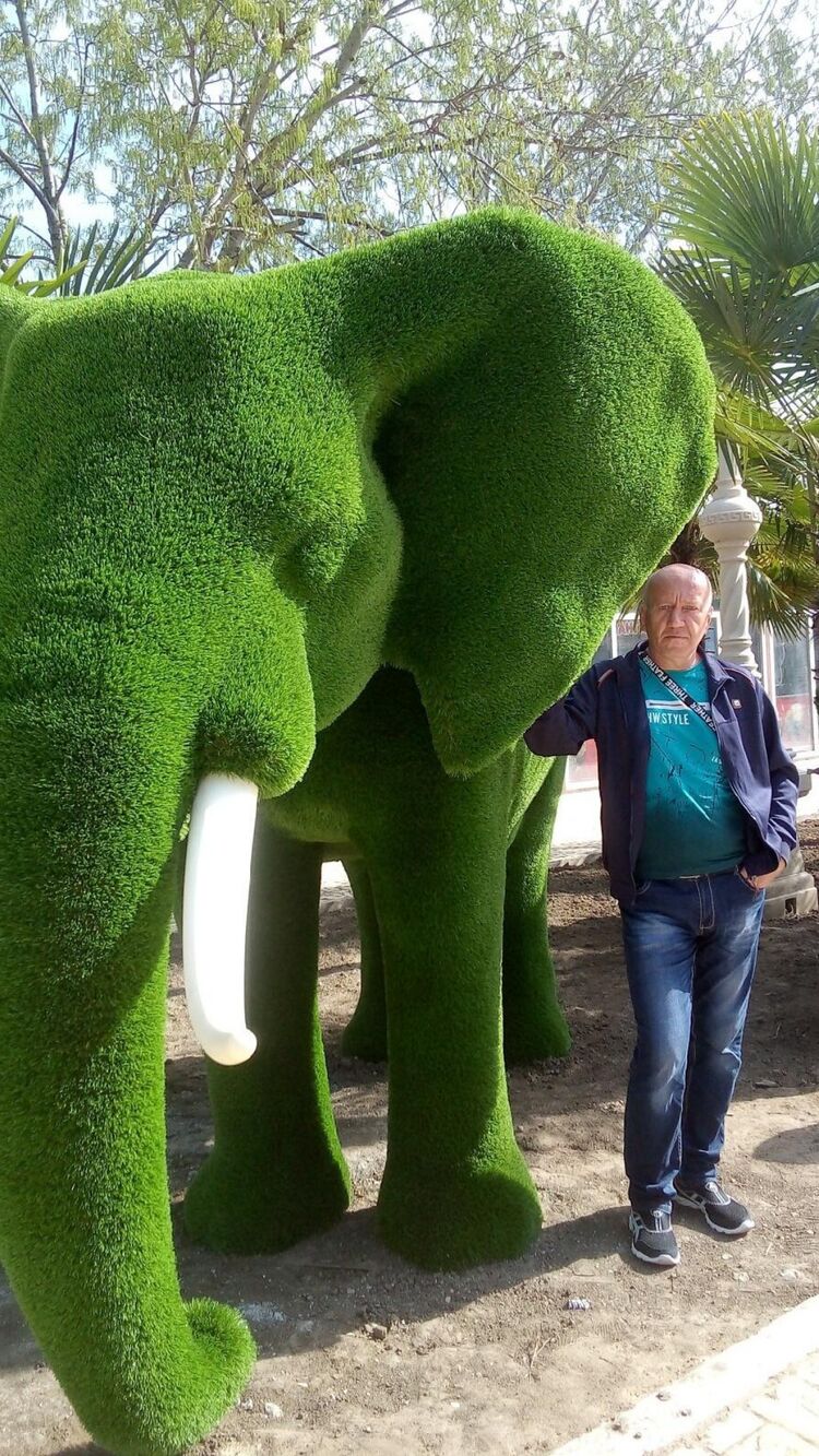 ���� 26510963 ������� ������, 51 ���, ���� ���������� � ����������