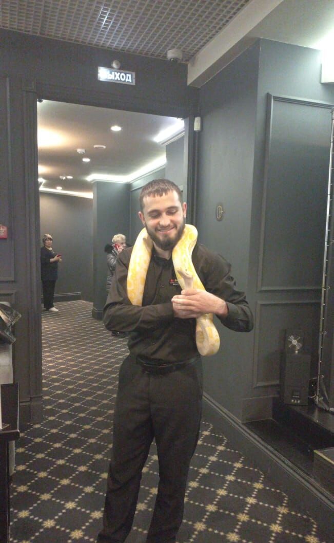 ���� 33862353 ������� �����, 29 ���, ���� ���������� � ������