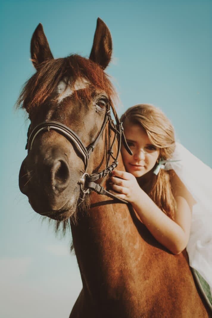 ���������� ������, ���� ������� ���������, 29 ���, ������������ ��� ������, ����� � ���������, c�������� ���������, ���������