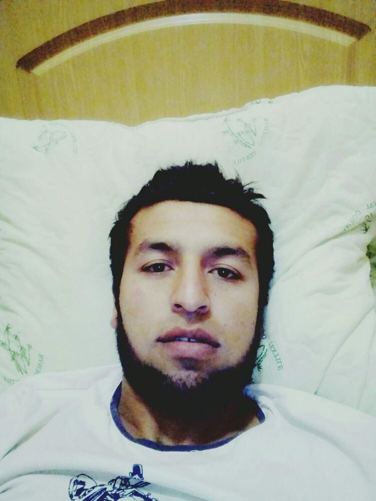  33656203  , 29 ,    