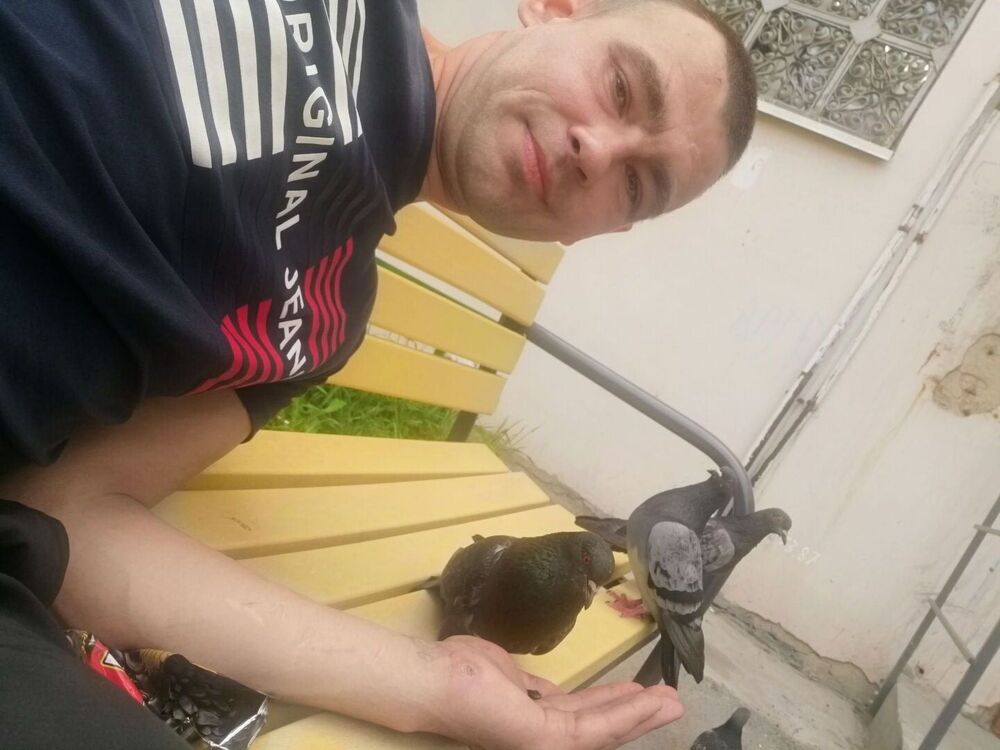 ���������� ������, ���� ������� �������, 42 ����, ������������ ��� ������, ����� � ���������, c�������� ���������, ���������