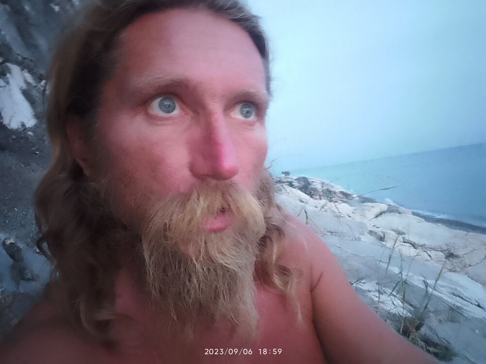 ���� 38106733 ������� ������, 44 ����, ���� ���������� � �������