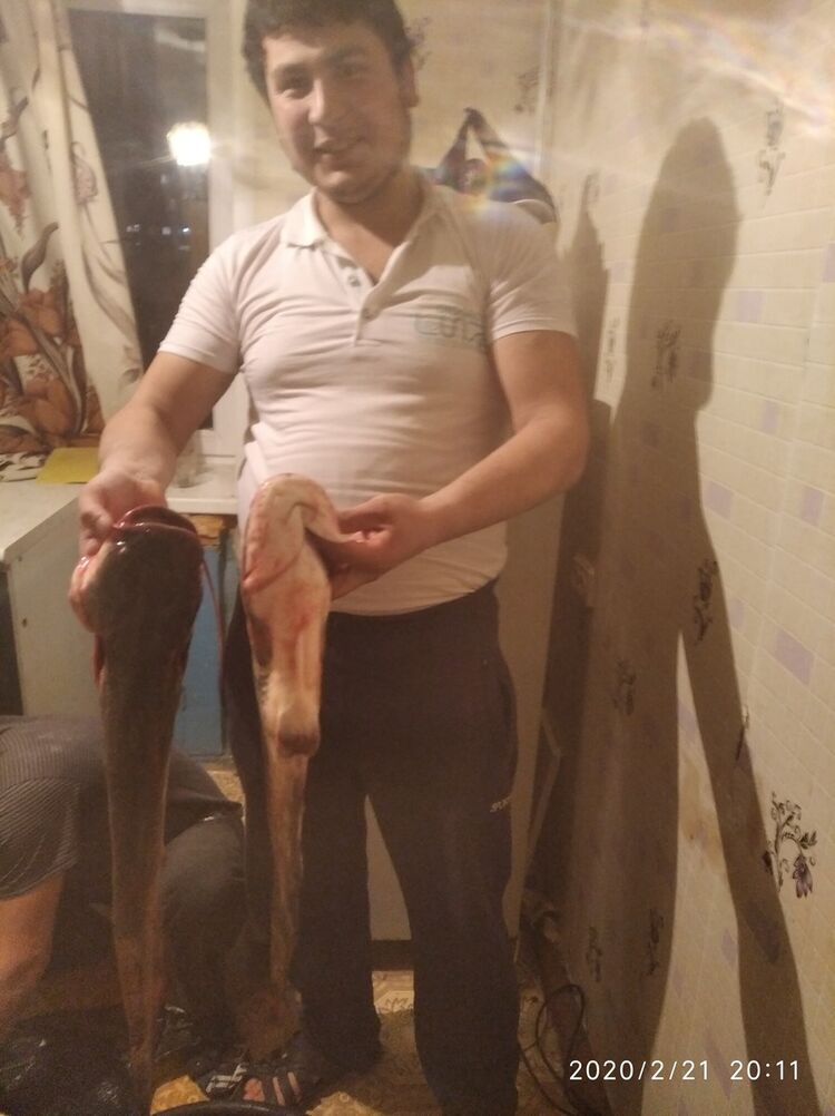 ���������� ����������, ���� ������� ��������, 32 ����, ������������ ��� ������, ����� � ���������, c�������� ���������