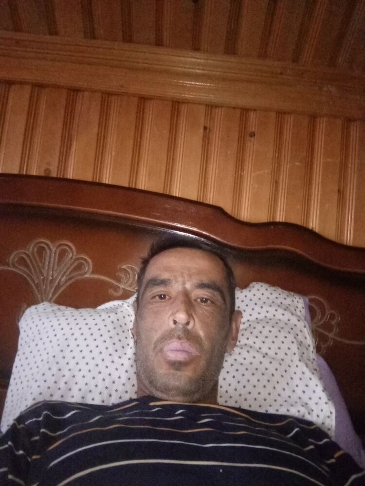 ���� 35991053 ������� �����, 44 ����, ���� ���������� � ���������