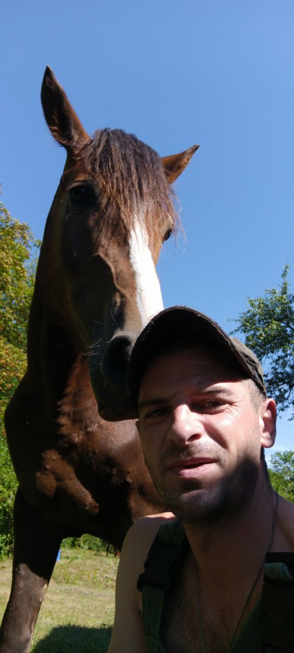 ���������� ������, ���� ������� �������, 34 ����, ������������ ��� ������, ����� � ���������, c�������� ���������, ���������