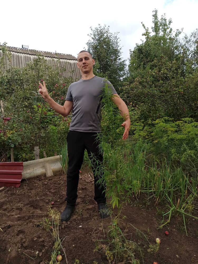 ���������� ������, ���� ������� Maxim, 35 ���, ������������ ��� ������, ���������