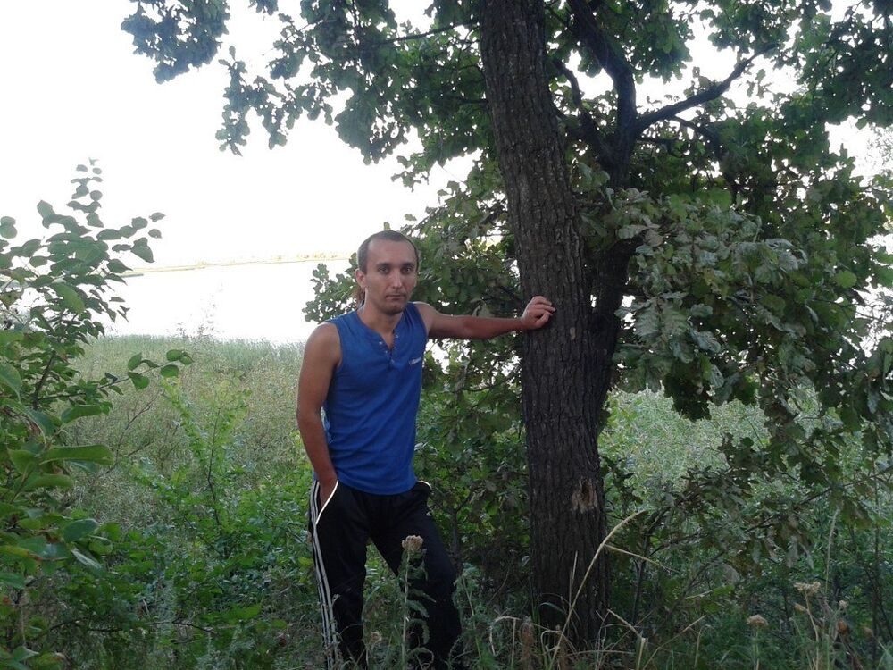 ���������� �������, ���� ������� ���������, 43 ����, ������������ ��� ������, ����� � ���������, c�������� ���������