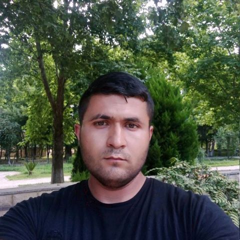  38415533  , 29 ,    