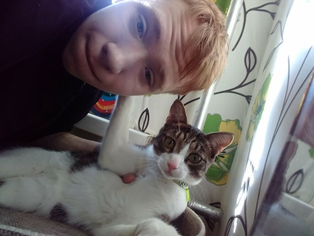 ���� 25584193 ����� SissyBlyFace, 21 ���, ���� ���������� � �������