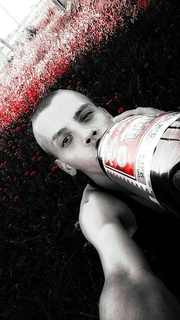 ���������� ������, ���� ������� Shama, 29 ���, ������������ ��� ������, ����� � ���������, c�������� ���������