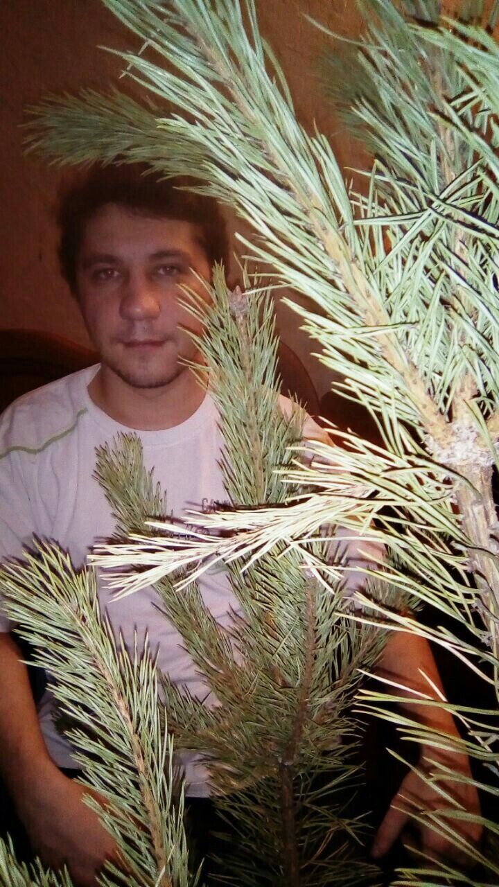 ���������� ������, ���� ������� ���������, 36 ���, ������������ ��� ����� � ���������, c�������� ���������