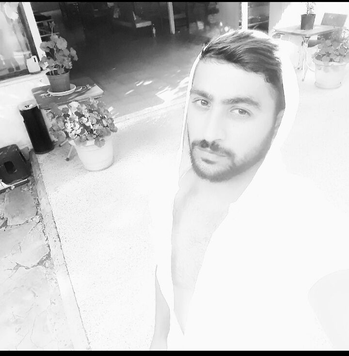 ���� 31794013 ������� Quli, 35 ���, ���� ���������� � �����-����������