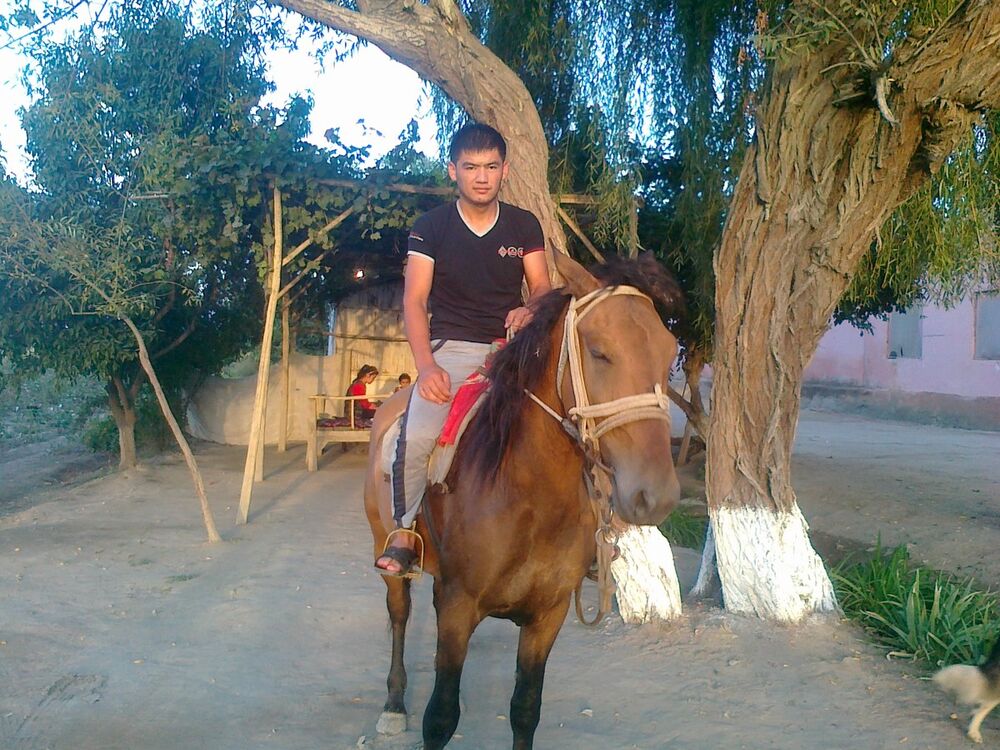  ,   Elbek, 33 ,  