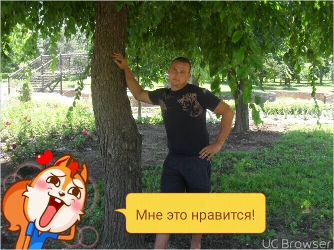  8293783  , 37 ,    