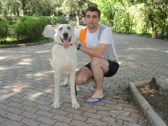 ���������� �������, ���� ������� Giorgi, 40 ���, ������������ ��� ������, ����� � ���������, c�������� ���������