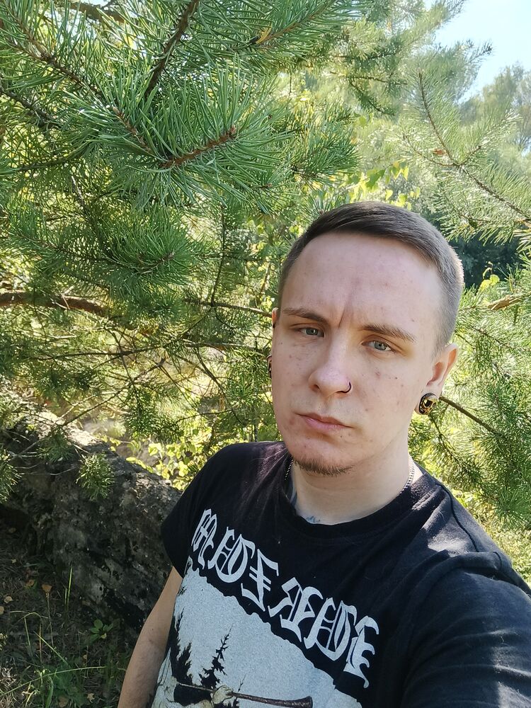  53478163  , 29 ,    