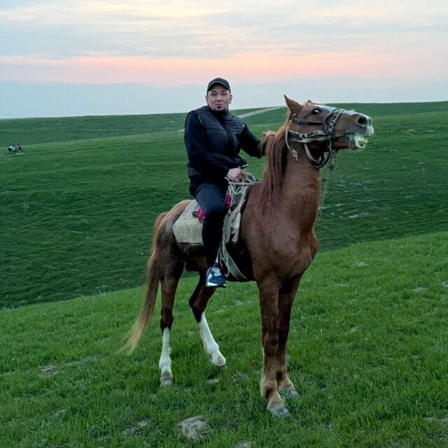 ���� 55129793 ������� Dilmurod, 35 ���, ���� ���������� � ��������