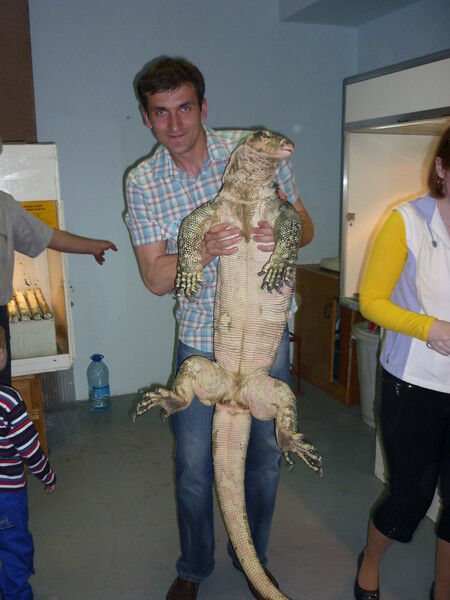 ���� 11379543 ������� ���������, 42 ����, ���� ���������� � �����