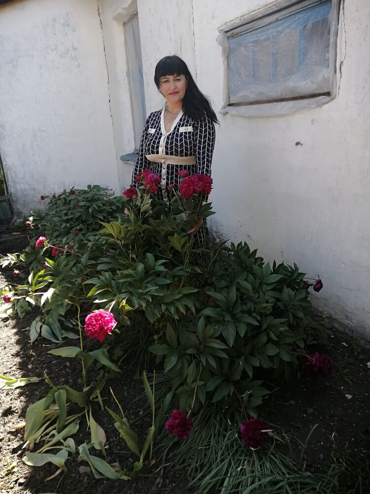  ,   , 53 ,   ,   