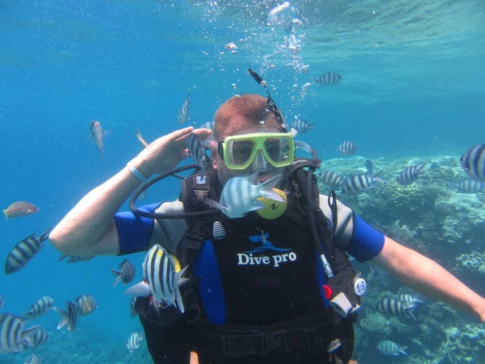 ���������� ������, ���� ������� ����, 50 ���, ������������ ��� ������, ����� � ���������, c�������� ���������, ���������