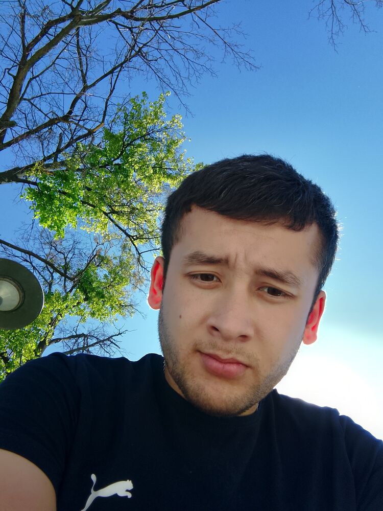  44450593  , 26 ,    