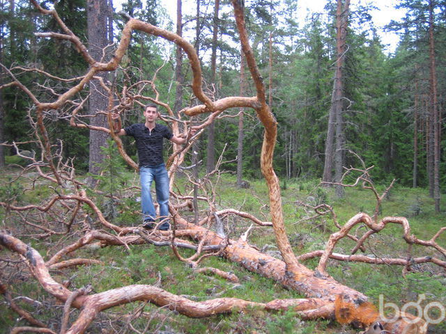 ���������� ���������, ���� ������� �������, 45 ���, ������������ ��� ������, ����� � ���������, c�������� ���������